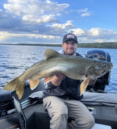 Lake Trout