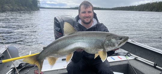 Lake Trout