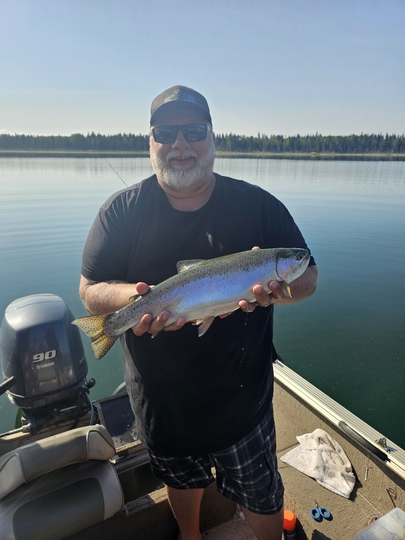 Rainbow Trout