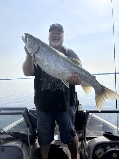 Lake Trout