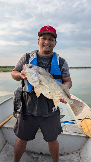 Freshwater Drum