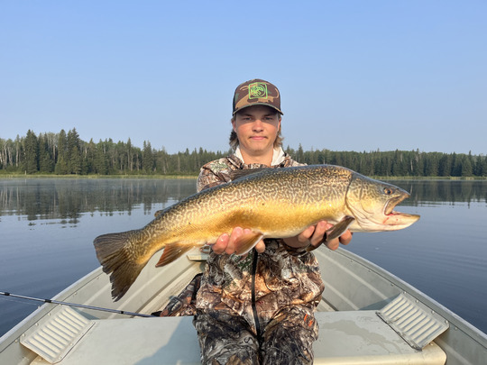 Tiger Trout