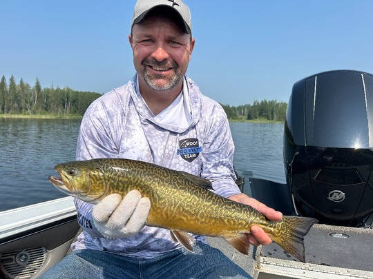 Tiger Trout