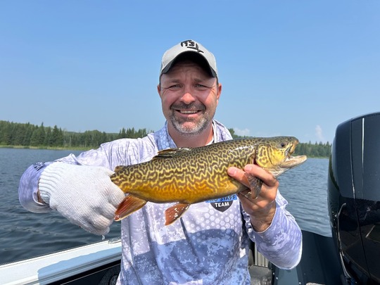 Tiger Trout