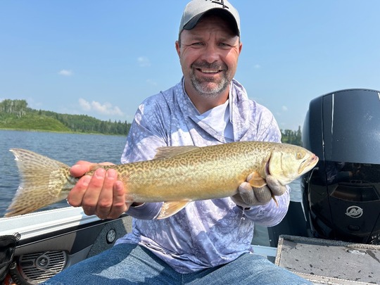 Tiger Trout