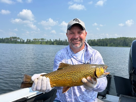 Tiger Trout