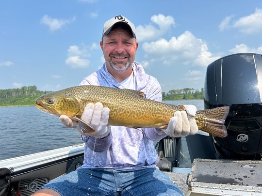 Tiger Trout