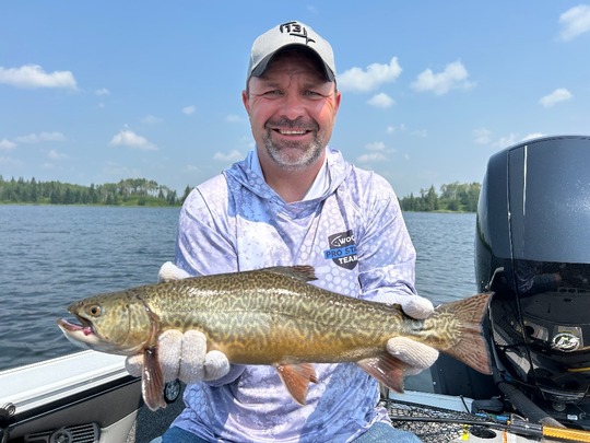 Tiger Trout