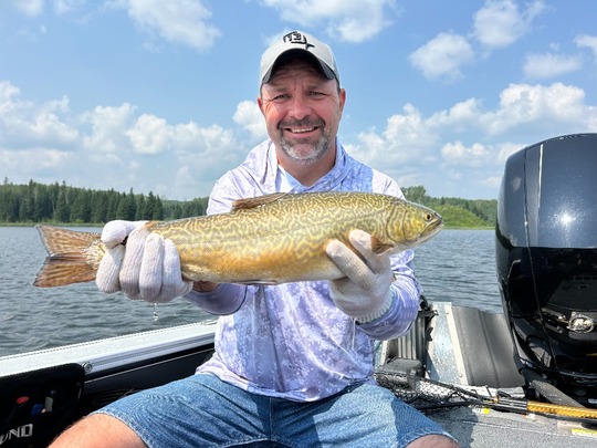 Tiger Trout