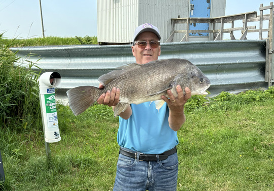 Freshwater Drum