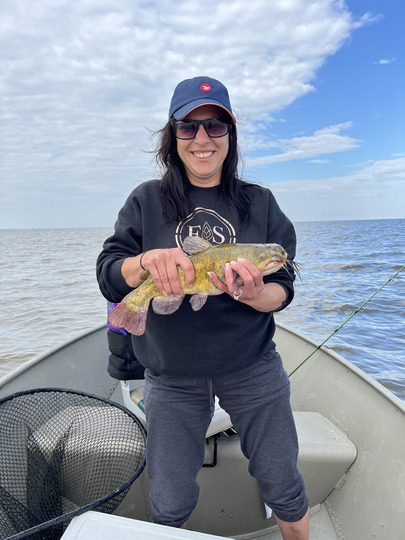 Bullhead