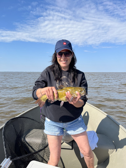 Bullhead