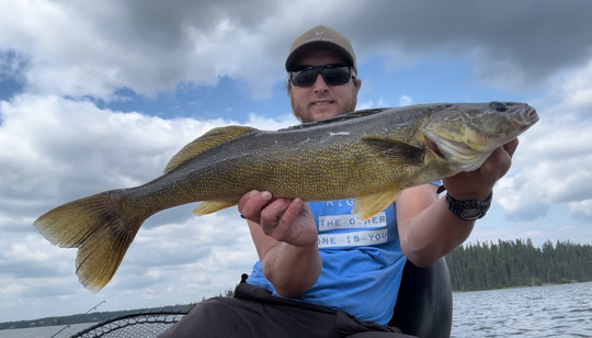 Walleye