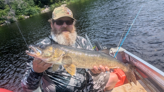 Walleye