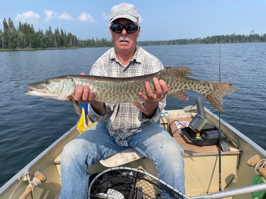 Muskellunge