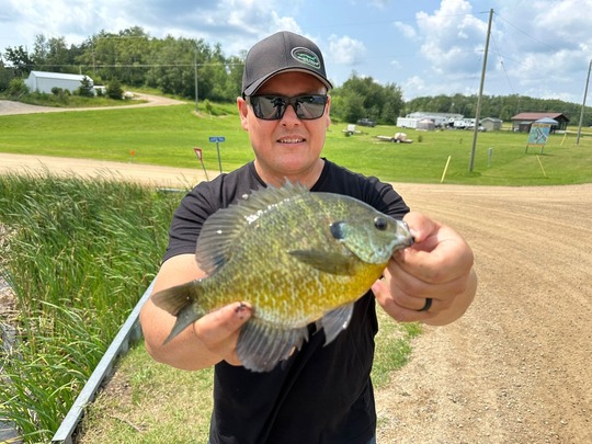 Sunfish