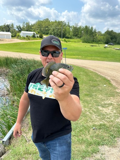 Sunfish