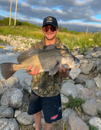 Freshwater Drum