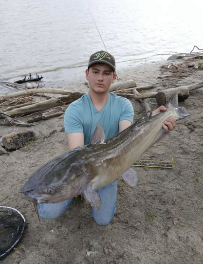 Channel Catfish