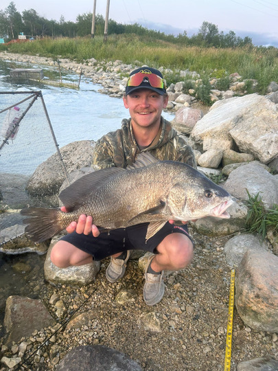 Freshwater Drum