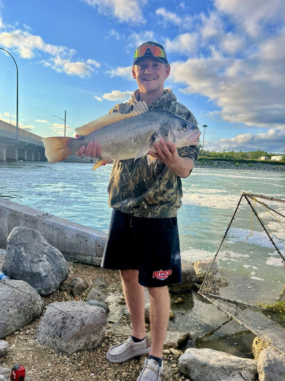 Freshwater Drum