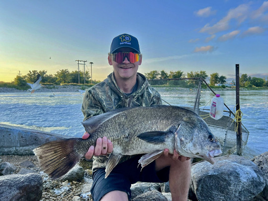 Freshwater Drum