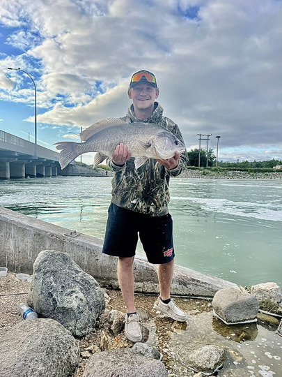 Freshwater Drum