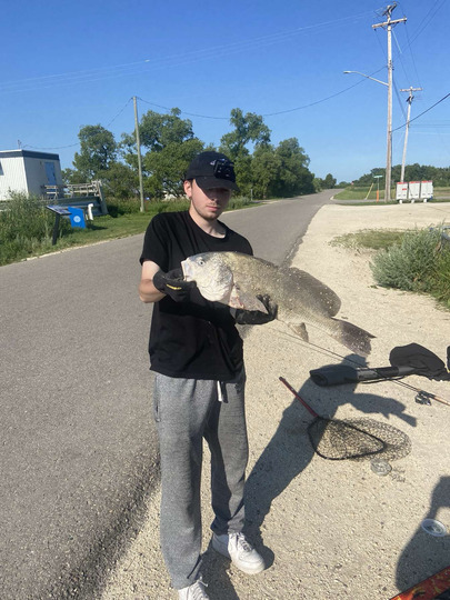 Freshwater Drum