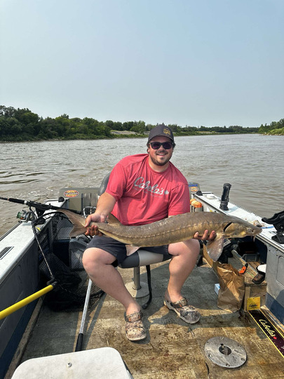 Lake Sturgeon