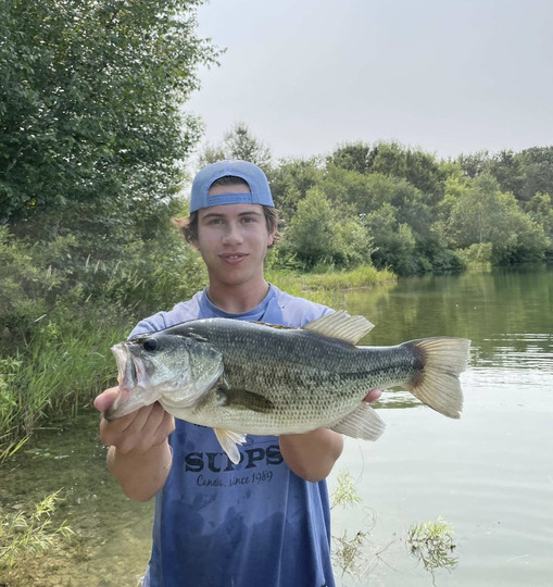 Largemouth Bass