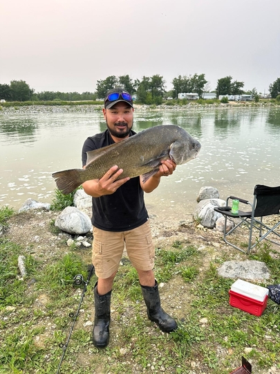 Freshwater Drum