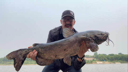 Channel Catfish