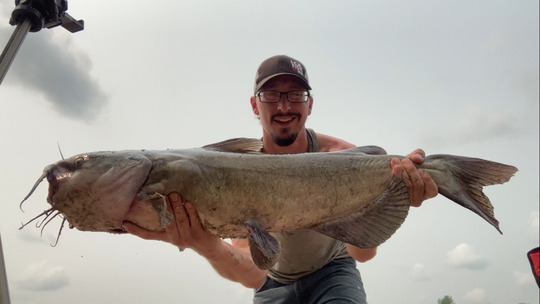 Channel Catfish