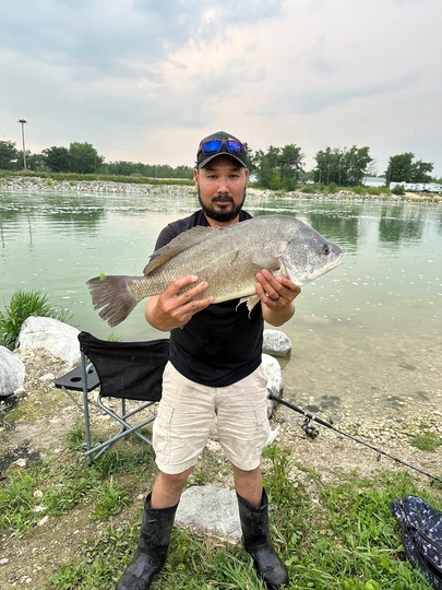 Freshwater Drum