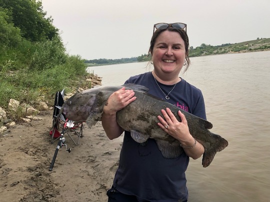 Channel Catfish