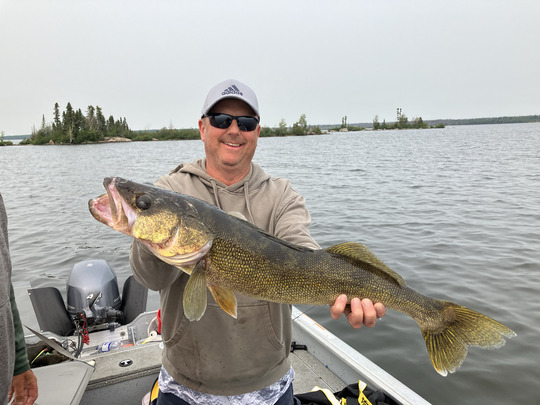 Walleye