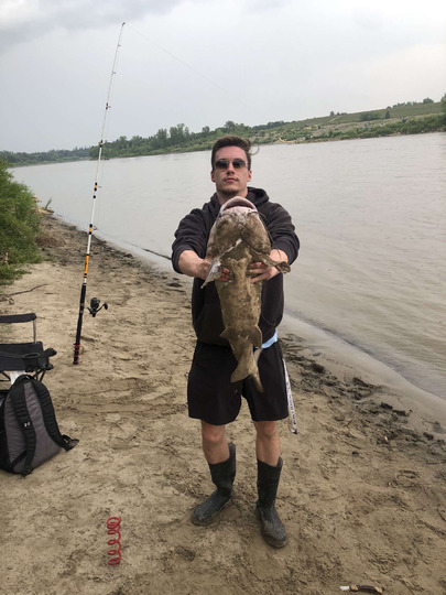 Channel Catfish