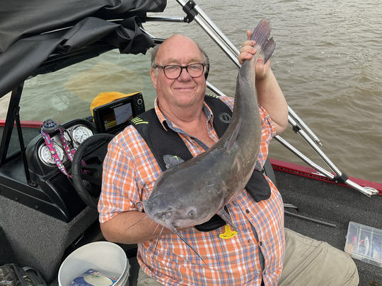 Channel Catfish
