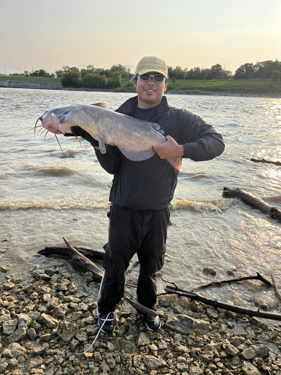 Channel Catfish