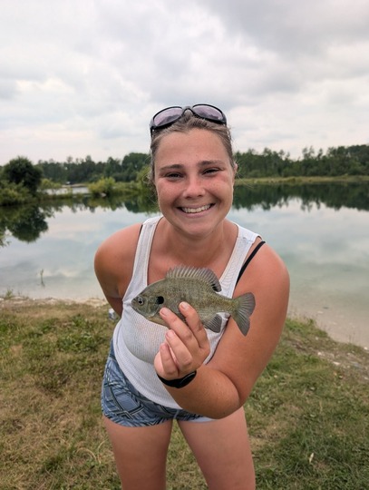 Sunfish