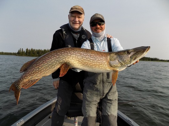 Northern Pike