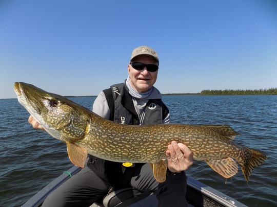 Northern Pike