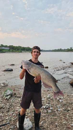 Channel Catfish