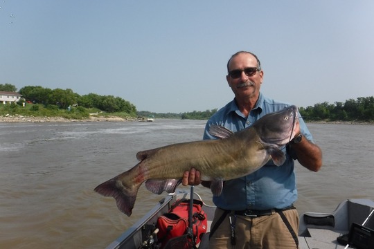 Channel Catfish