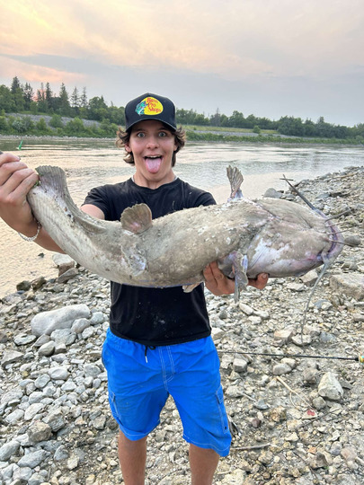 Channel Catfish