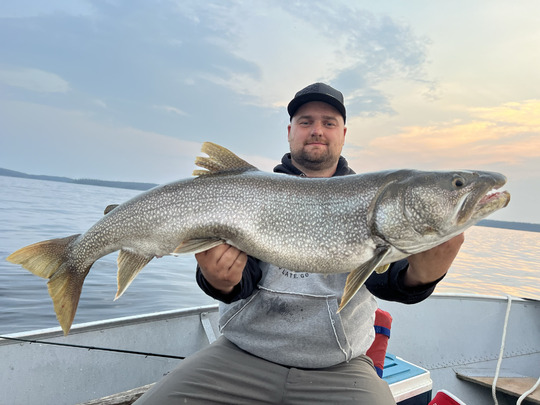 Lake Trout