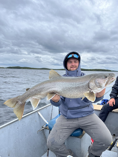 Lake Trout