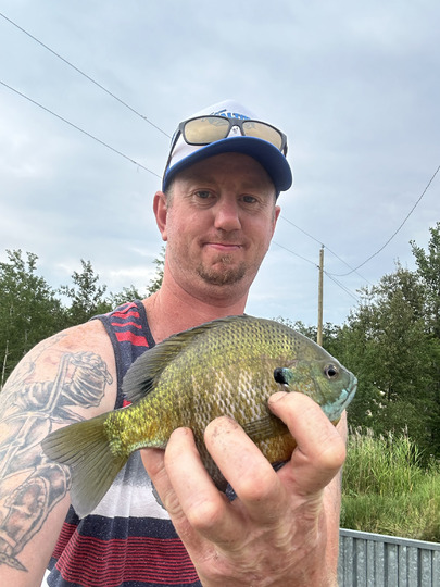 Sunfish