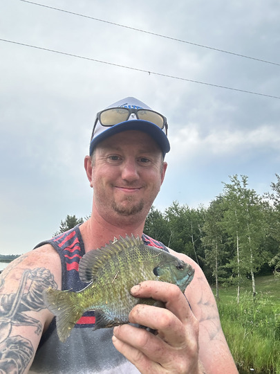 Sunfish