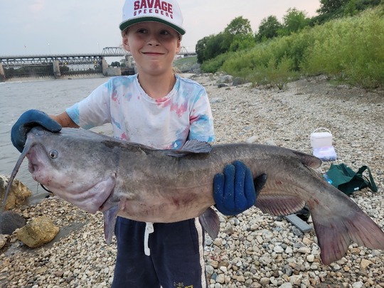 Channel Catfish